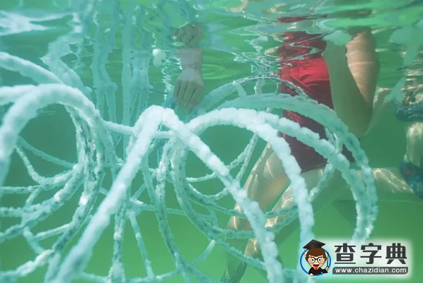 驚嘆！被死?！半缰啤边^(guò)的物品美如冰雕8