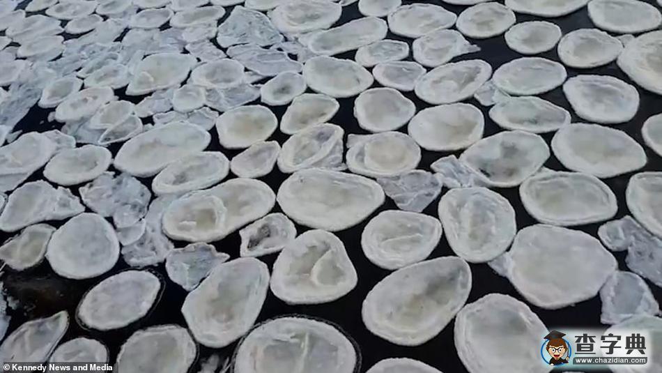 罕見！蘇格蘭河流上出現(xiàn)大量奇特“冰煎餅”鋪滿河面3