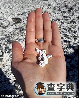 奇觀！西班牙加那利群島一海灘沙礫似爆米花4