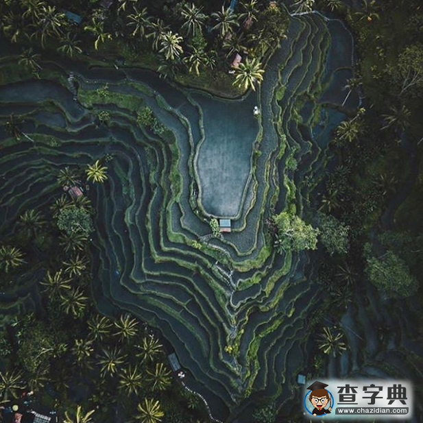 最佳航拍照片：城市混凝土叢林和斯凱島瀑布5
