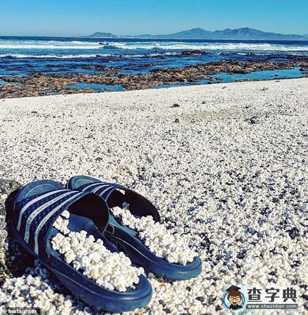 奇觀！西班牙加那利群島一海灘沙礫似爆米花2