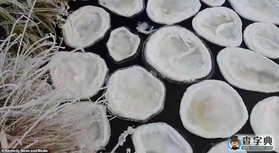 罕見！蘇格蘭河流上出現(xiàn)大量奇特“冰煎餅”鋪滿河面2