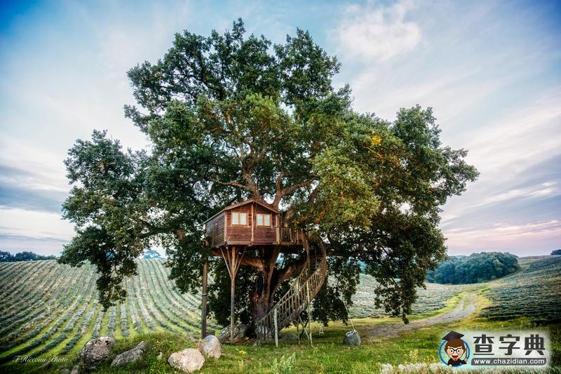 以樹為家：各國生態(tài)樹屋遠(yuǎn)離塵世喧囂覓安靜2