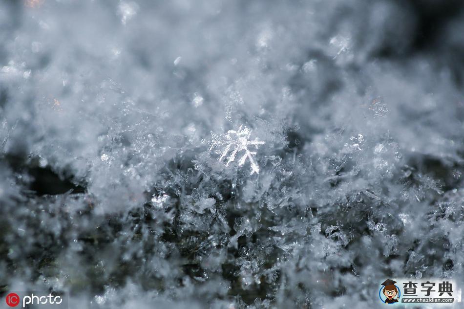 2019初雪如期至 北京滿城銀8
