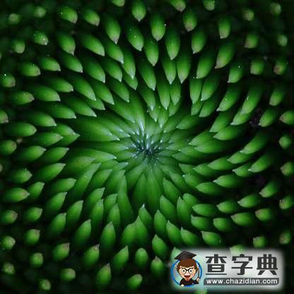 美麗大自然：美國波浪狀砂巖層和太平洋綠松石色暗礁10