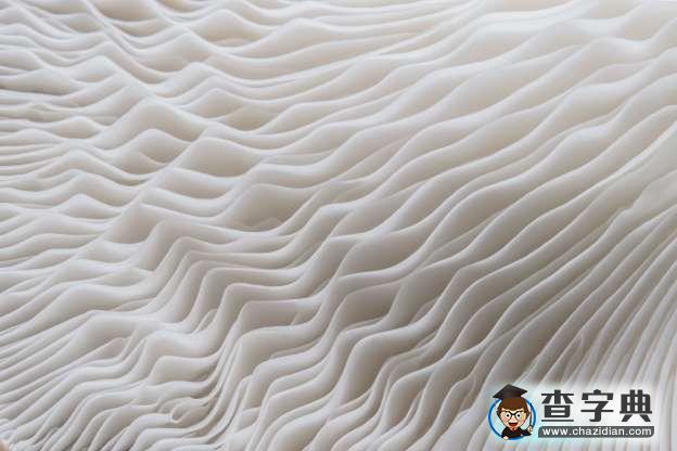 美麗大自然：美國波浪狀砂巖層和太平洋綠松石色暗礁12