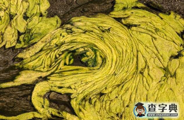 美麗大自然：美國波浪狀砂巖層和太平洋綠松石色暗礁18