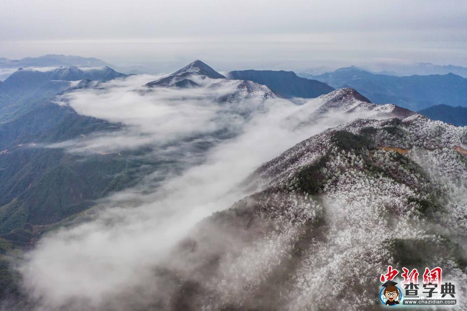 航拍江西武寧太平山霧凇景觀 如夢(mèng)如幻蔚為壯觀5