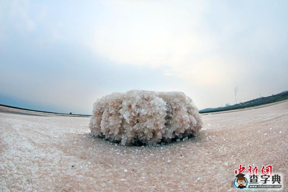 山西運城鹽湖低溫開“硝花” 晶瑩剔透形態(tài)各異4