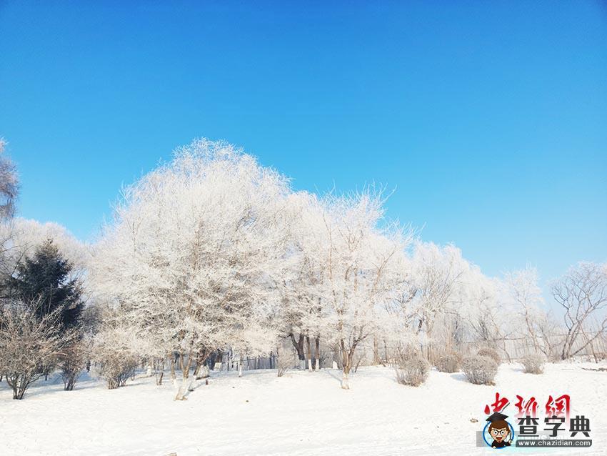 吉林“霧凇駕到” 結(jié)晶爬上樹枝宛如夢幻之地3