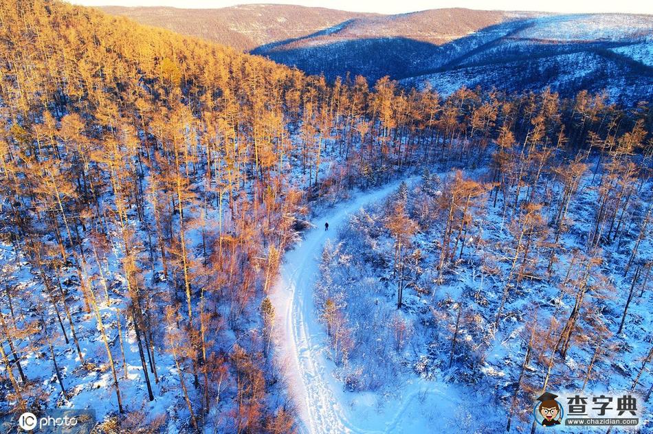 航拍大興安嶺林海雪原雪林暮色2