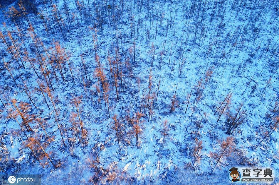 航拍大興安嶺林海雪原雪林暮色5