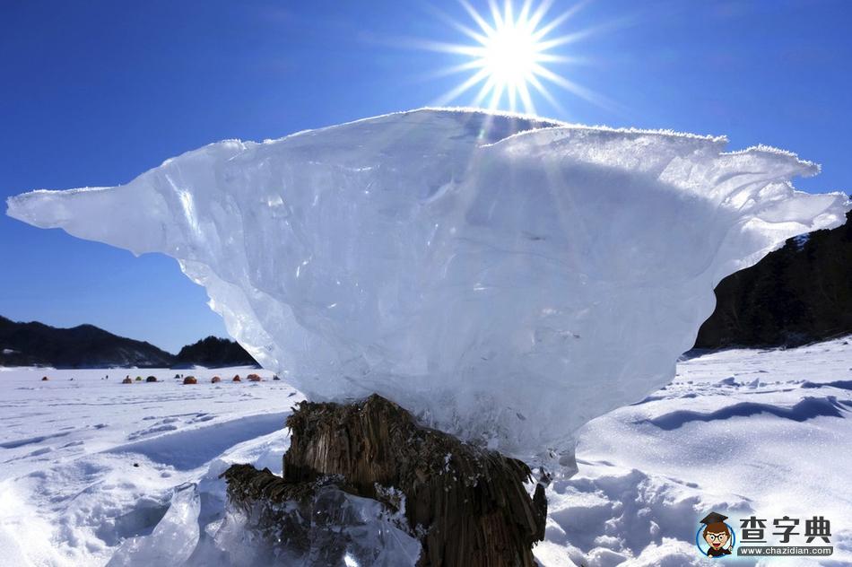 太神奇了！日本北海道出現(xiàn)“蘑菇冰”1