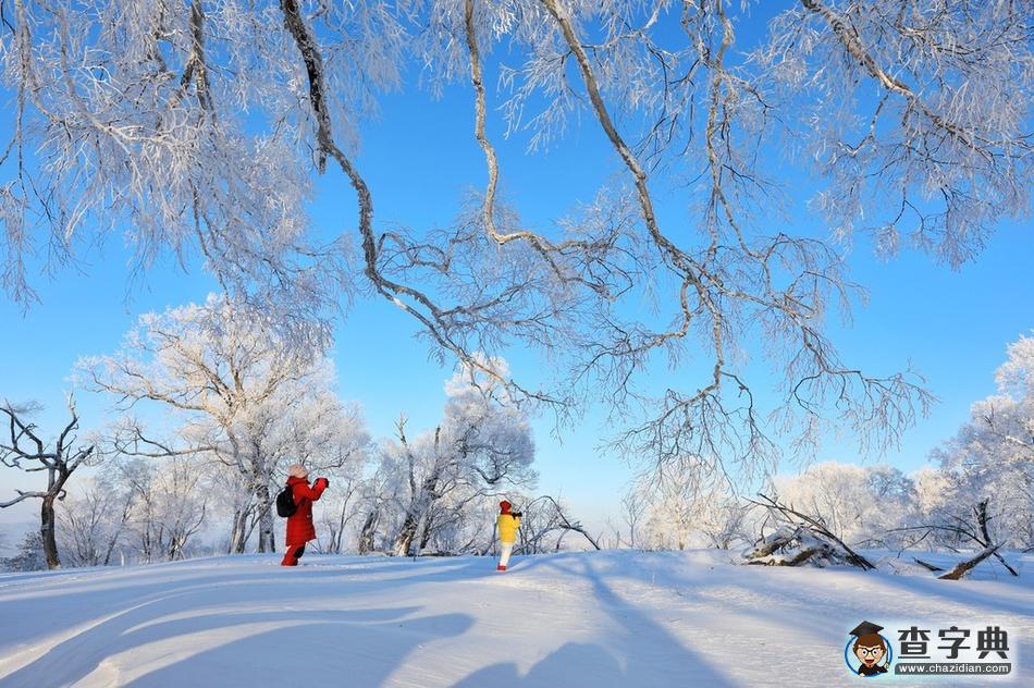 實拍吉林輝南四方頂子霧淞 冰雪童話美到極致2