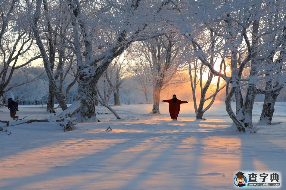 實拍吉林輝南四方頂子霧淞 冰雪童話美到極致3