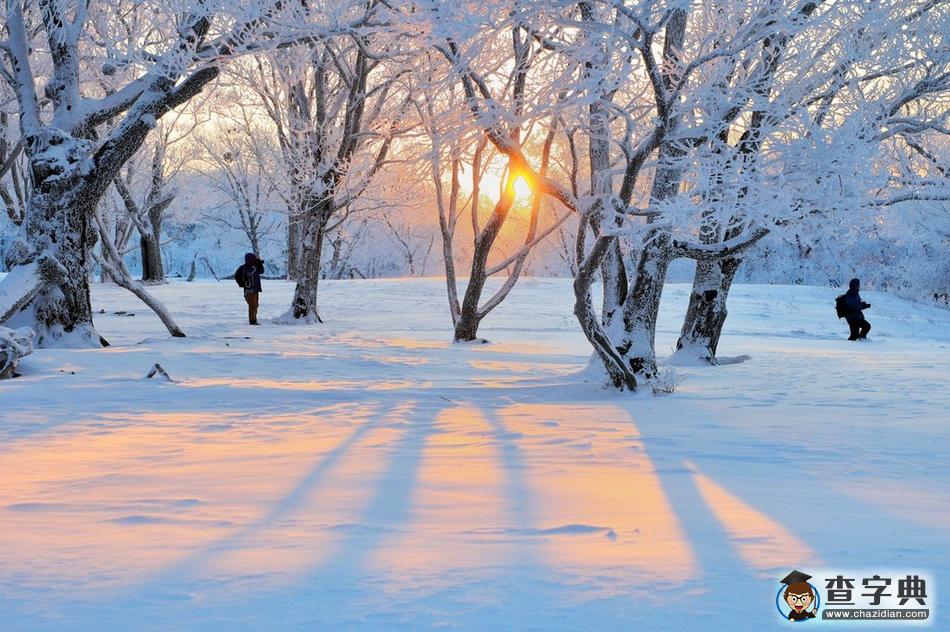 實拍吉林輝南四方頂子霧淞 冰雪童話美到極致4
