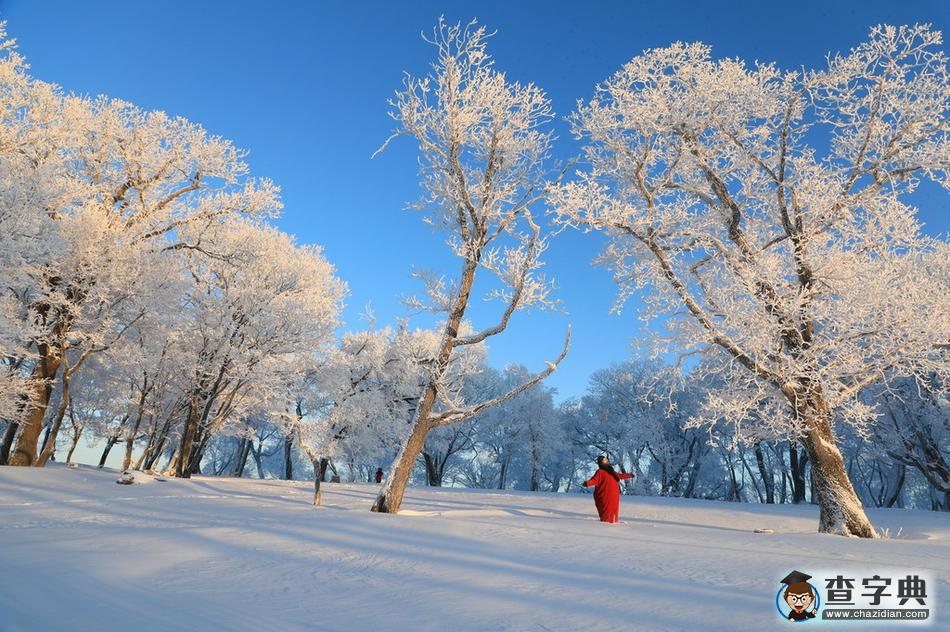 實拍吉林輝南四方頂子霧淞 冰雪童話美到極致1