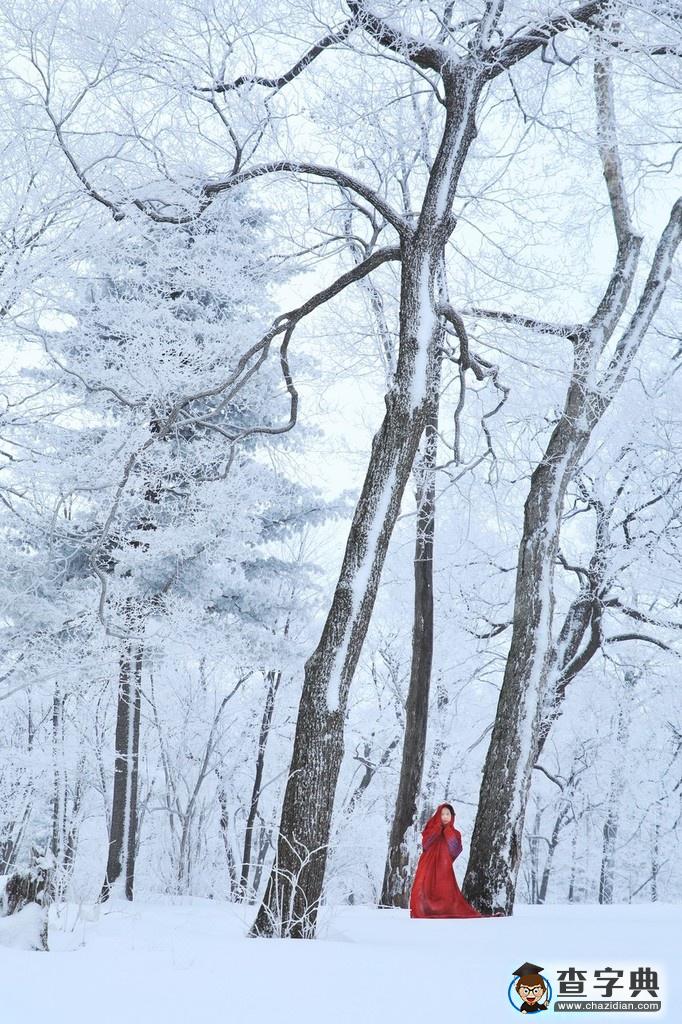 實拍吉林輝南四方頂子霧淞 冰雪童話美到極致7