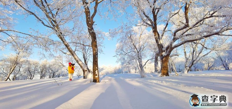 實拍吉林輝南四方頂子霧淞 冰雪童話美到極致5