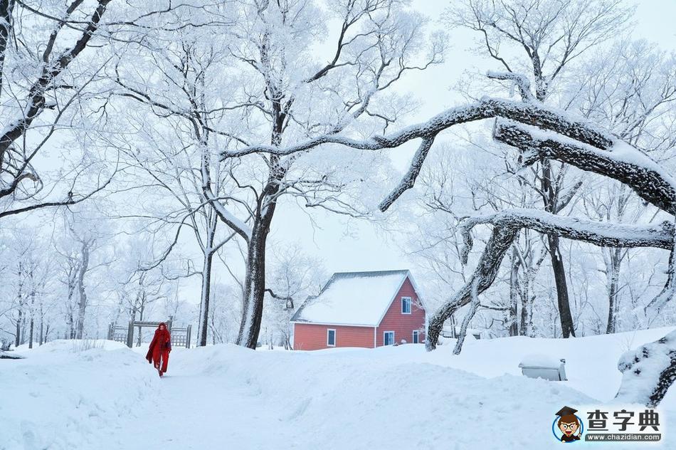 實拍吉林輝南四方頂子霧淞 冰雪童話美到極致6