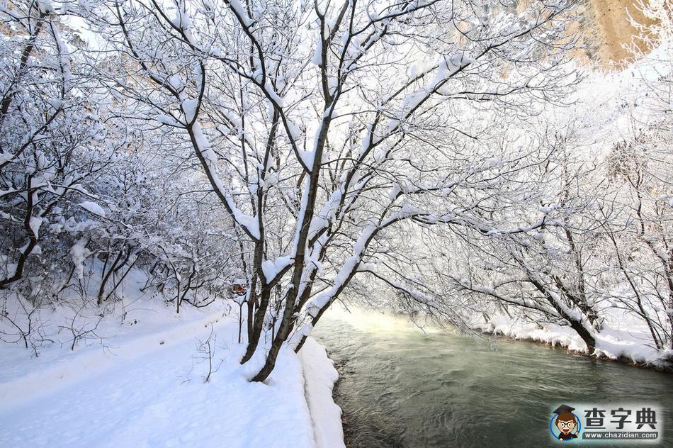 土耳其冬日雪景銀裝素裹 滿樹(shù)銀花美不勝收6