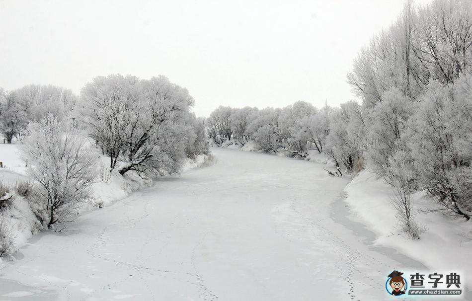 土耳其冬日雪景銀裝素裹 滿樹(shù)銀花美不勝收3