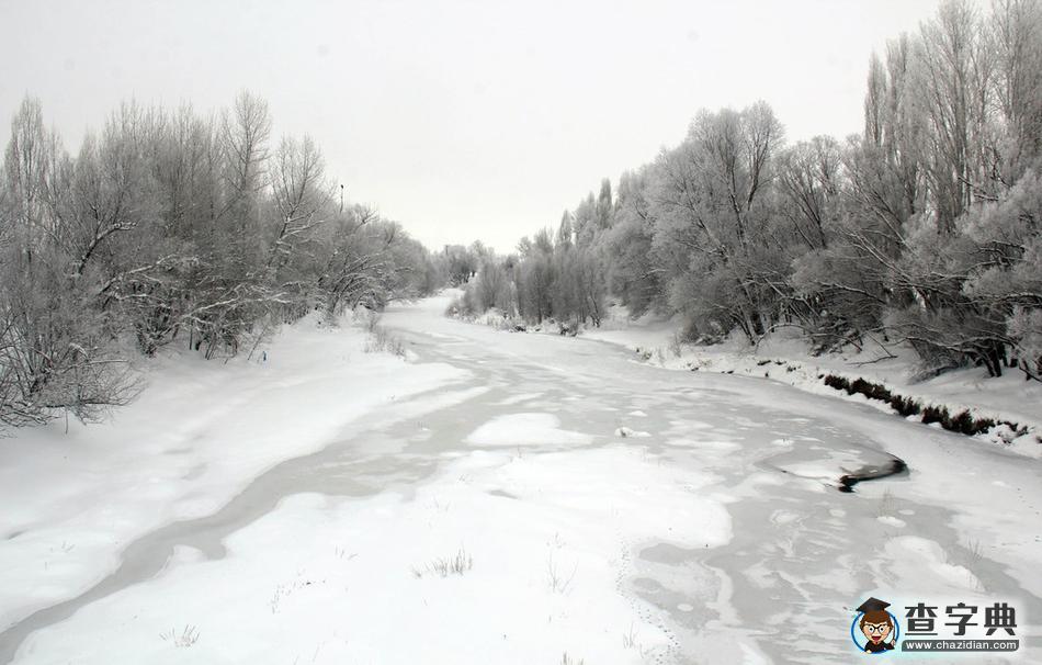 土耳其冬日雪景銀裝素裹 滿樹(shù)銀花美不勝收1