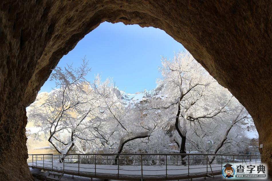 土耳其冬日雪景銀裝素裹 滿樹(shù)銀花美不勝收5