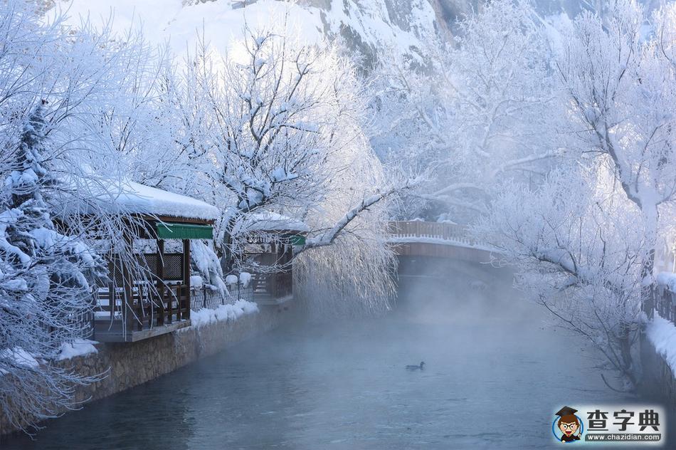 土耳其冬日雪景銀裝素裹 滿樹(shù)銀花美不勝收4