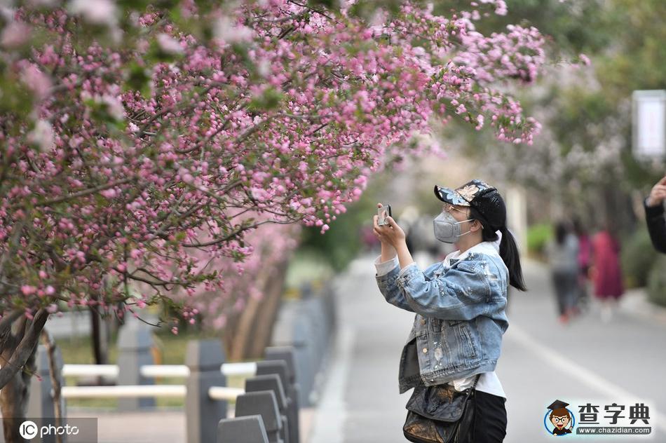 春分 陌上花開，不負(fù)韶華！10