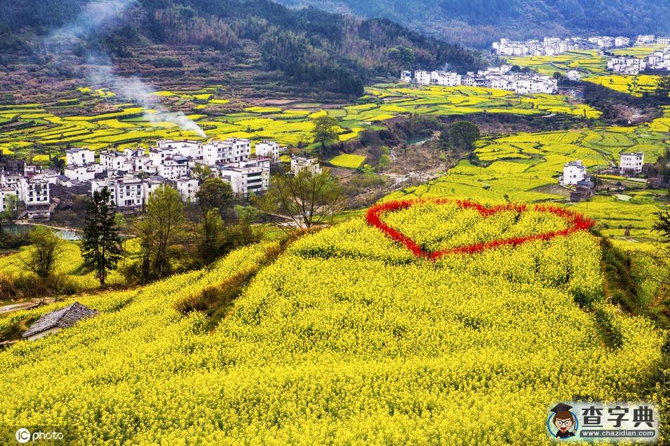 三月婺源花海開(kāi) 引來(lái)天南海北游客競(jìng)開(kāi)顏2