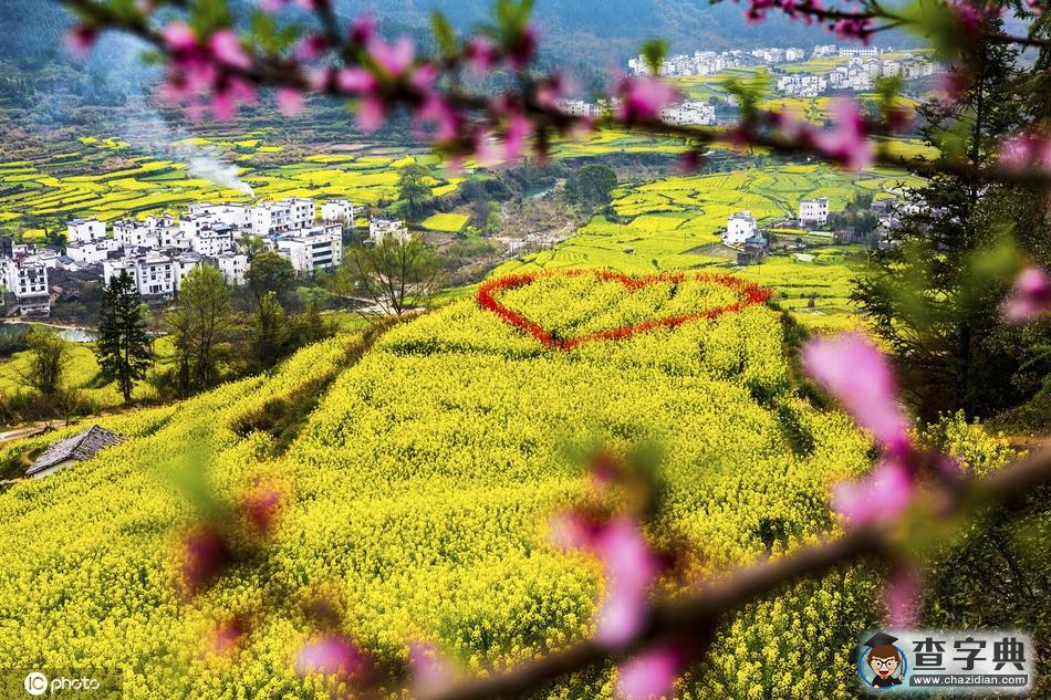 三月婺源花海開(kāi) 引來(lái)天南海北游客競(jìng)開(kāi)顏1