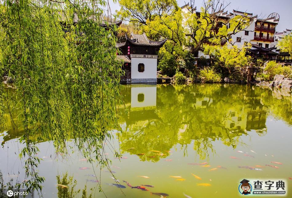 三月婺源花海開(kāi) 引來(lái)天南海北游客競(jìng)開(kāi)顏5