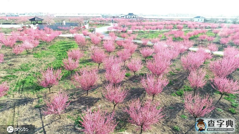 春分 陌上花開，不負(fù)韶華！3