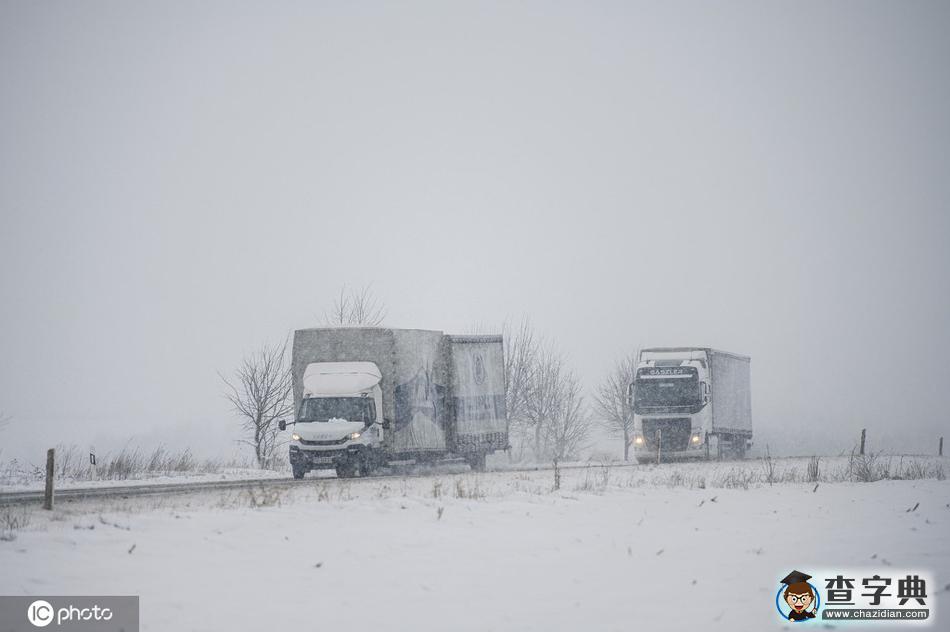 當(dāng)櫻花季遇上飛雪 這景色美哭了！7