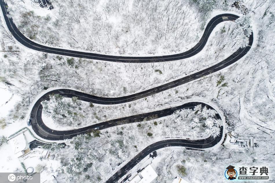 當(dāng)櫻花季遇上飛雪 這景色美哭了！13