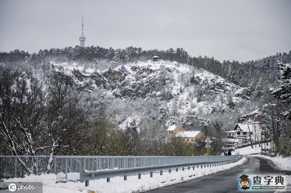 當(dāng)櫻花季遇上飛雪 這景色美哭了！22