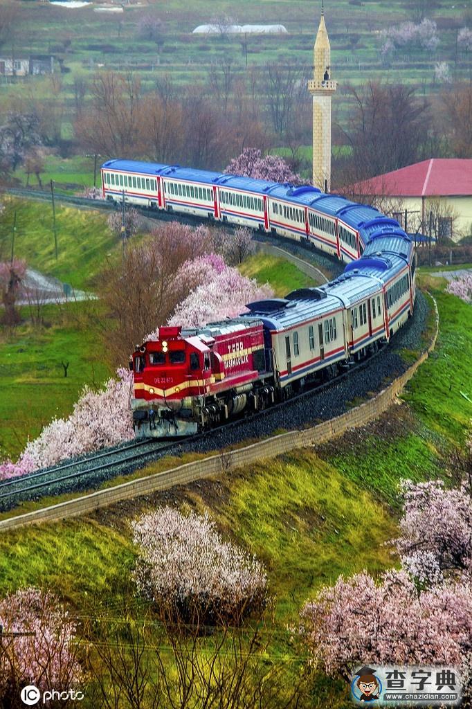 國(guó)外開往春天的列車 穿越最美花海邂逅人間四月天！11