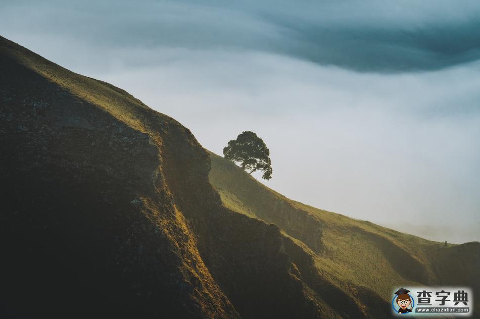 英國(guó)峰區(qū)晨景 晨霧縹緲恍如仙境19