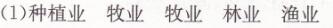人教版八年級上冊地理第四章第二節(jié)農(nóng)業(yè)（二）長江作業(yè)本答案2