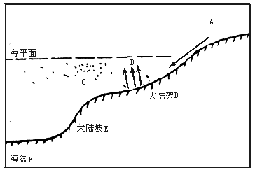 高中地理必修四《海洋資源（一）》質(zhì)量檢測(cè)卷（含解析）1