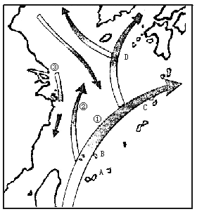 高中地理必修四《海洋資源（一）》質(zhì)量檢測(cè)卷（含解析）3