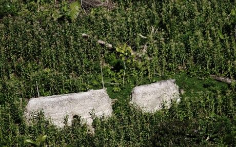 亞馬孫熱帶雨林驚現(xiàn)與世隔絕部落