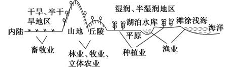 《農業(yè)地域的形成與發(fā)展》重點精講