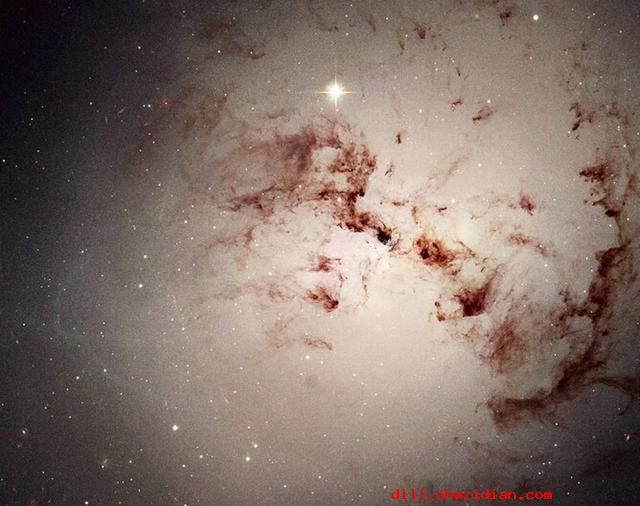 橢圓星系孕育外星人的概率最高