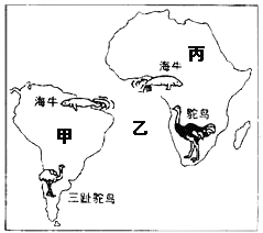 《第二節(jié)海陸的變遷》測(cè)試題8